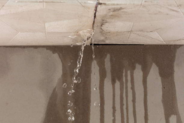 Professional Burst Pipe Cleanup technician working in Glen Allen, VA